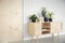 Plants and books on wooden cupboard in natural living room interior with wallpaper. Real photo