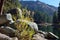 Plants, Boulders, Payette River, Pine Trees, Shore, Reflections, Idaho