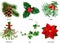 Plants, Christmas decorations. Spruce, holly, yew, mistletoe, ivy, poinsettia. 3d realistic vector set