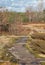 Plants  covering rock  in Muskoka in November