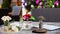 plants and different Daily Use Products on wooden Table to show High professional Decoration with Blur background