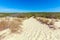 Plants of Dune of Pyla, Arcachon Bay