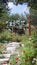 Plants flora flowers poppies greenery vegetation brown fence in Cyprus