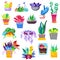 Plants in flowerpots vector potted colorful flowery houseplants for interior decoration with botanic collection floral