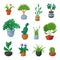 Plants in flowerpots vector potted flowery houseplants for interior decoration with botanic collection floral cactuses
