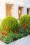 Plants and flowers in flowerpots on city street, landscaped design, blurred background