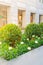 Plants and flowers in flowerpots on city street, landscaped design, blurred background