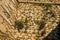 Plants and flowers on ruins of ancient fortress in Napflion on P