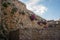 Plants and flowers on ruins of ancient fortress in Napflion on P