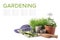 Plants with gardening supplies on white background