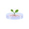 Plants genetic modification and bioengineering flat vector illustration isolated.