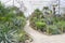 Plants in the greenhouse.