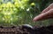 Plants growing on soil and hands watering plants with icons related to plant growth.