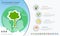 Plants growing timeline infographics with icons set.