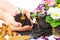 Plants, hands, potting soil, flower bulb