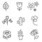 Plants icons