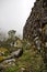 Plants on the Inca Trail to Machu Picchu. A awesome hiking trail