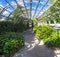 Plants inside of a main hall in David Welch Winter gardens, Duthie Park, Aberdeen