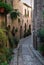 Plants lining the narrow street in Umbria