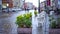 Plants in marble pots stand among flooded outdoor cafe