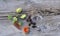 Plants and Pebbles on Old Board