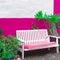 Plants on pink fashion concept. Tropical stylish location. Canary island