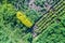 Plants of potato, zucchini, cucumbers and dill in a field in Kursk region of Russia