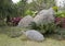 Plants and rocks arranged in the spring park