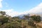 Plants.  Rocky Mountain Summit And View Of Blyde River Canyon