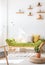 Plants on shelves above a wooden settee with a green cushion in a sunny living room interior with white walls. Real photo.