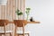 Plants in small vases on long wooden dining table in bright interior