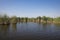 Plants specific to the wetlands reeds in the Neaslov Delta in Romania, very similar to the Danube Delta