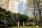 Plants and trees outside wall in sunny modern city