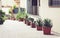 Plants in tubs in the courtyard of the house in Acitrezza, Catania, Sicily, Italy