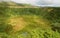 Plants on the volcano in azores island