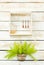 Plants on white rough wooden wall