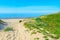 Plants and white sand in Rena Majore beach