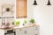 Plants on wooden countertop in kitchen interior with blinds, lam