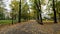 Planty Park, gardens that surround the entire Old Town of Krakow. Beautiful ancient trees surrounded by fallen leaves. in fall