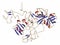 Plasminogen plasmin precursor protein. Plasmin is an enzyme responsible for the breakdown of fibrin (fibrinolysis