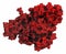 Plasminogen plasmin precursor protein. Plasmin is an enzyme responsible for the breakdown of fibrin fibrinolysis.