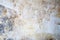 Plaster Grunge Wall Texture