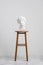Plaster head, antique sculpture for learning to draw. Standing on a stool on a white background.