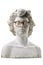 Plaster head with glasses