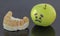 Plaster model of lower teeth next to crying green apple