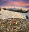 Plastic in the Alps, poster