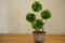 Plastic artificial green plant