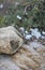 Plastic bag and form found left trashed on the beach surrounded with sea shells.