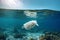 Plastic bag ocean garbage. Generate Ai