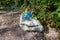 Plastic bags with dog excrement left behind on a rock